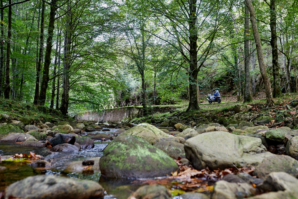 Ucieda. Parque Natural de Saja y Besaya. 