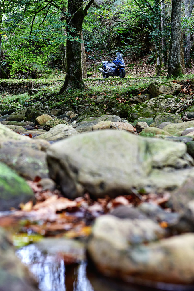 Ucieda. Parque Natural de Saja y Besaya. Espectáculo de tonos y colores del otoño en Cantabria.