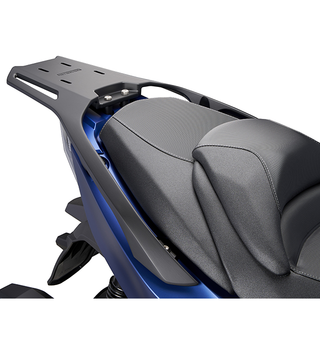 Parrilla trasera para Xciting S 400 1
