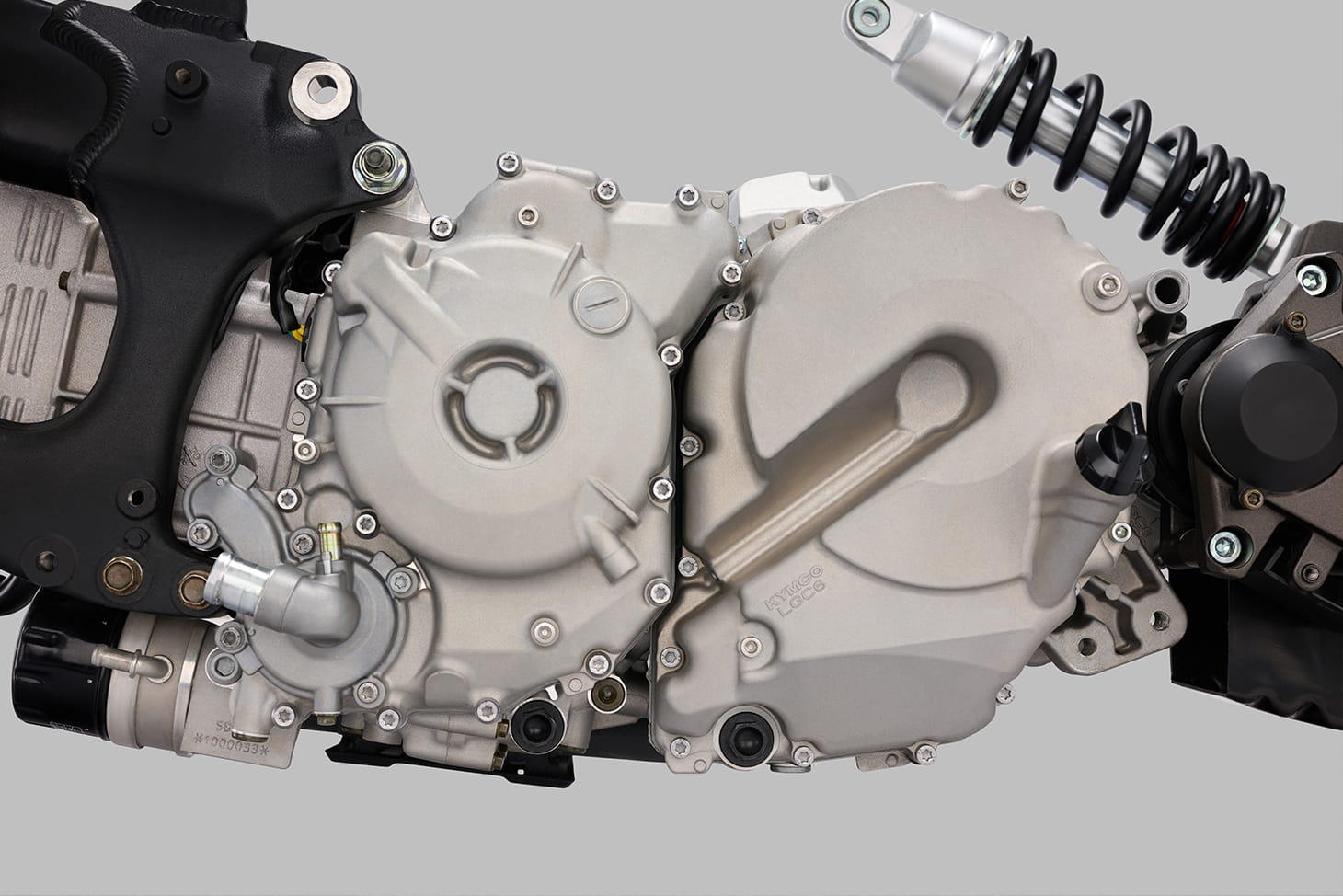 Latido salvaje, dominio absoluto 